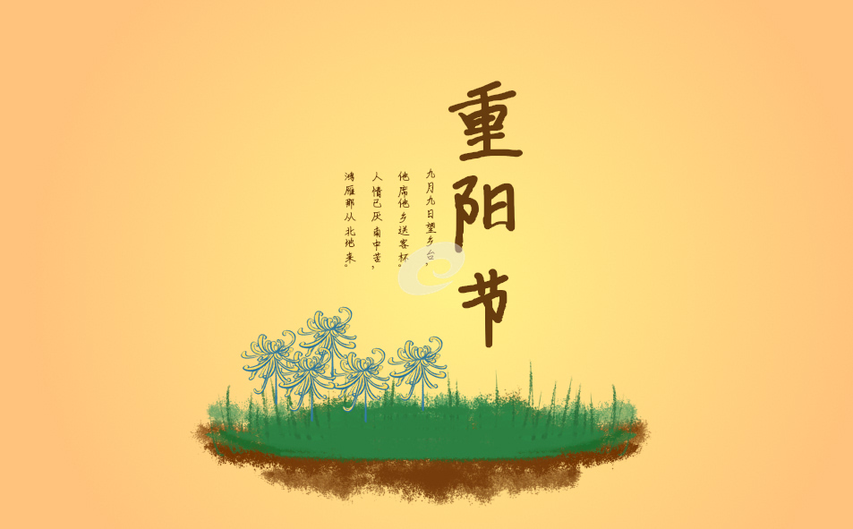 重阳节活动班级总结