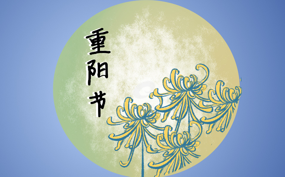 重阳节关爱总结