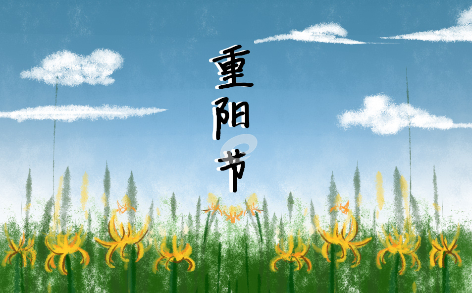 到重阳节总结