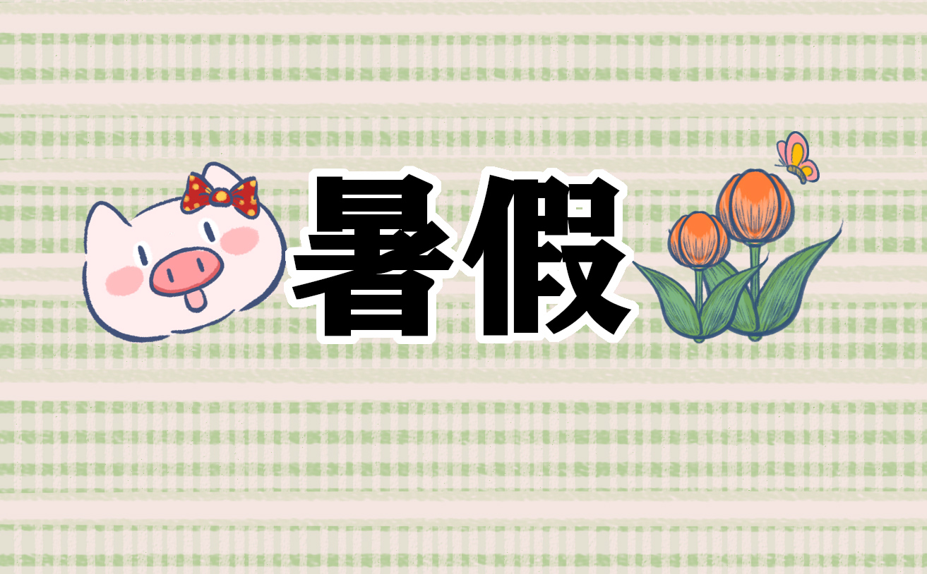 暑假个人总结